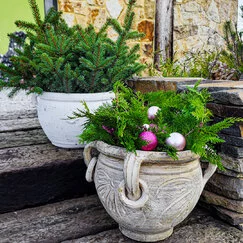 amfora jako alternativa ke květináčům amfora jako alternativa ke květináčům