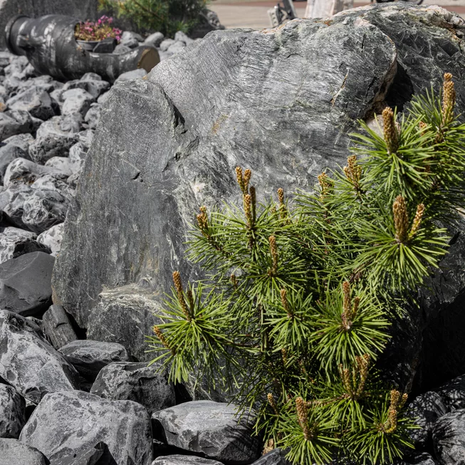 Břidlice B95 solitérní kámen