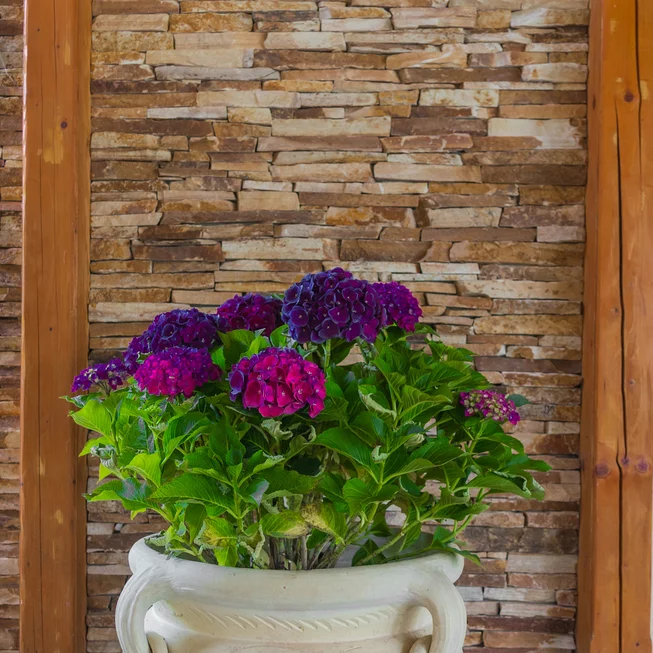 Gneis Mond G26 kamenný obklad