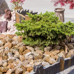 Gneis valouny v záhradě