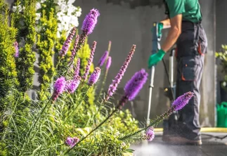 Jak pečovat o přírodní kámen