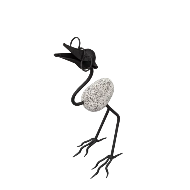 Kamenný pták s brýlemi