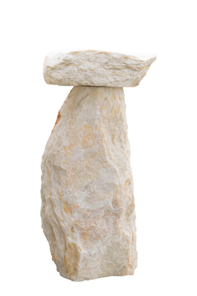 Napajedlo pro ptáky