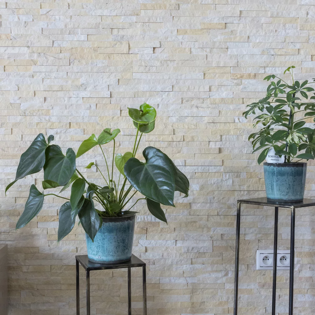 Obkladový panel SUNLIGHT ZP21 v interiéru