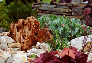 Okrasné přírodní kameny do zahrady