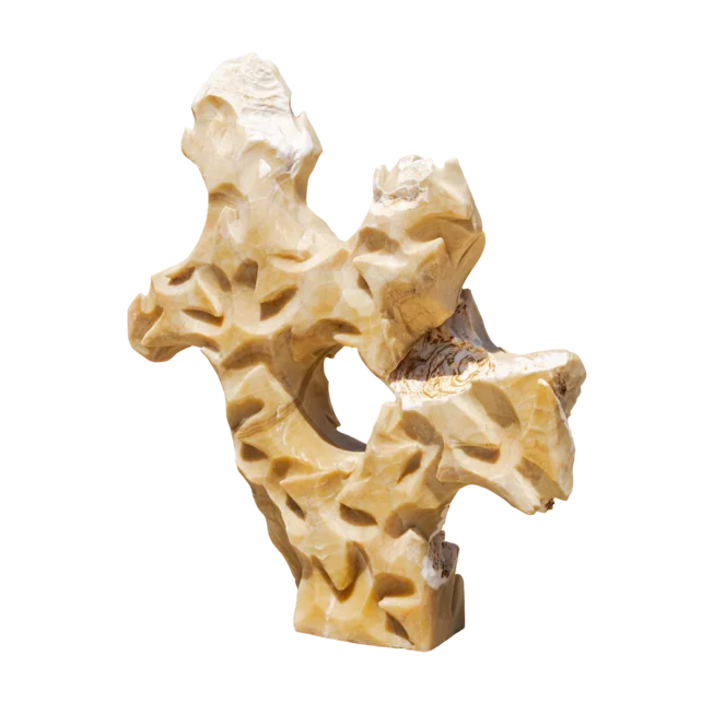 Onyx LIGNO FLAMENGO ART OX48 “S“ solitérní kámen