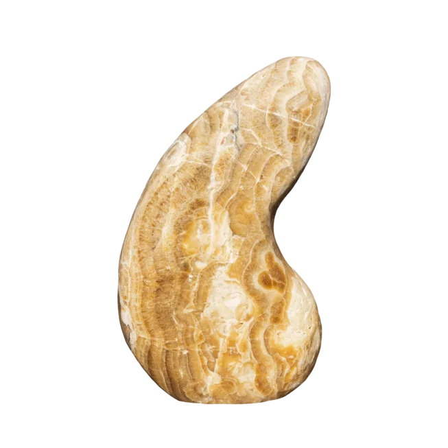 Onyx NASA ART OX51 solitérní kámen