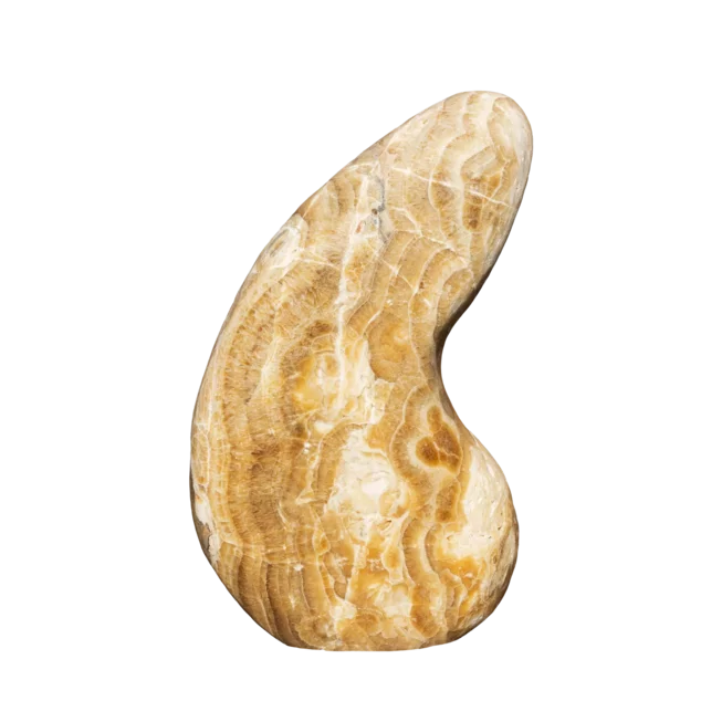 Onyx NASA ART OX51 solitérní kámen