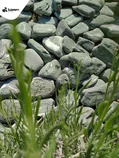 Serpentin SE65 dekorační valouny / okrasné kamenivo
