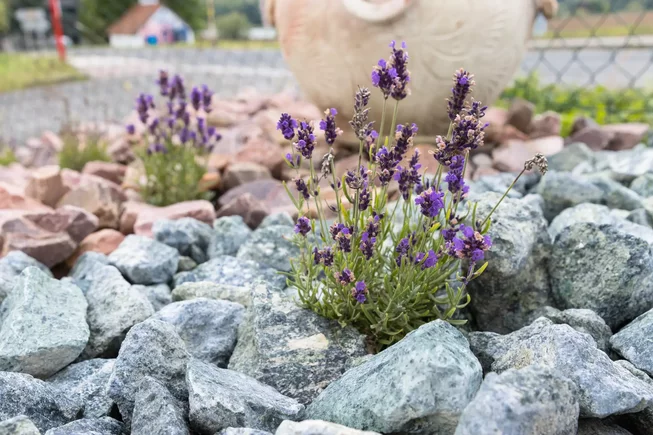 Serpentin SE65 výplň do gabionů