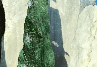 Solitér jako moderní vánoční stromeček