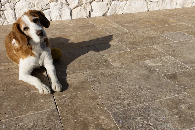 Travertin Antik MOCCA ATR56 mozaika - obklad/dlažba