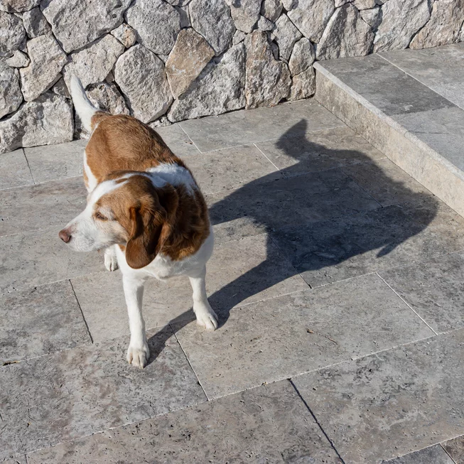 Travertin BLUE SKY ATR73 bazénový lem