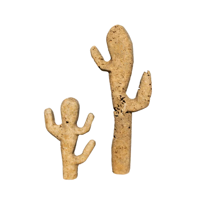 Travertin KAKTUS ART TR22 solitérní kámen