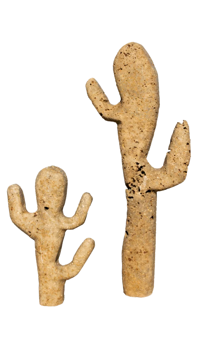 Travertin KAKTUS ART TR22 solitérní kámen