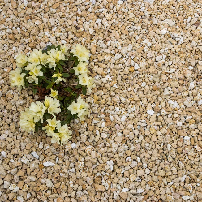 Tufa T25 dekorační štěrk/okrasné kamenivo