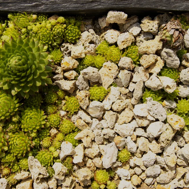 Tufa T25 dekorační štěrk/okrasné kamenivo