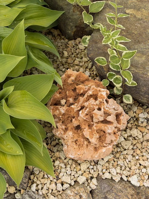 Vápenec děrovaný V55