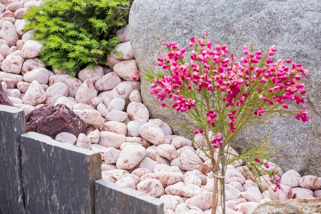 Vápenec- PINK V37 dekorační valouny / okrasné kamenivo