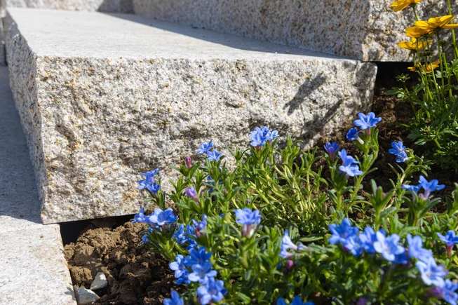 Žula Z25 schody kamenné schody / bloky s osekaným krajem