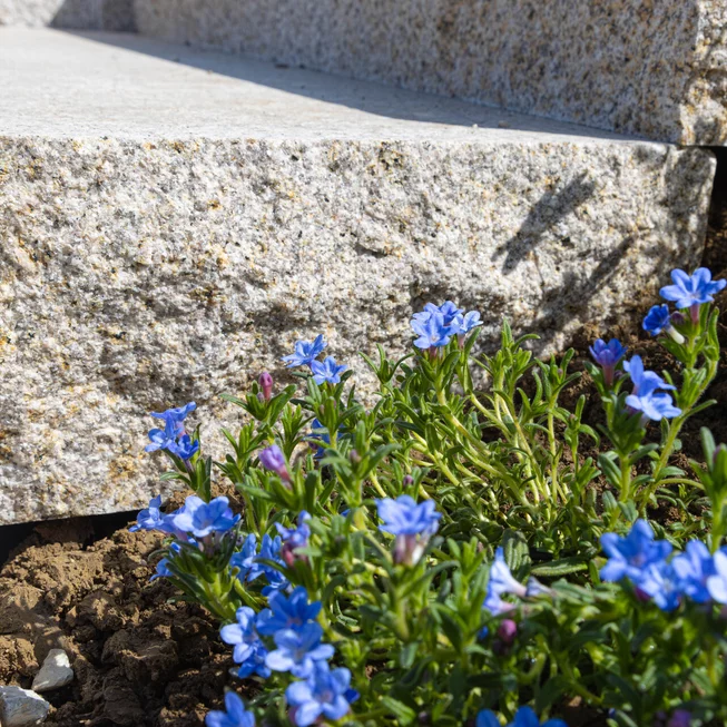 Žula Z25 schody kamenné schody / bloky s osekaným krajem